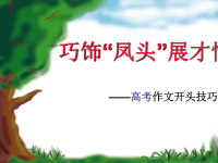 《作文开头训练》PPT课件