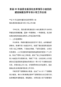 某县xx年县委全面深化改革领导小组党的建设制度改革专项小项工作总结