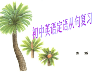 初中英语定语从句复习