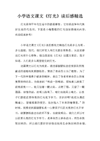 小学语文课文《灯光》读后感精选