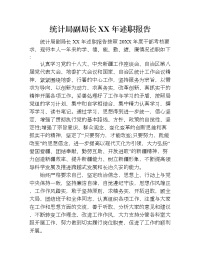 统计局副局长xx年述职报告.doc