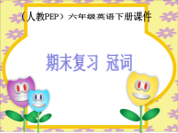 小学pep英语《期末复习 冠词》课件