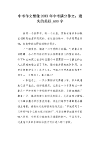 中考作文想像20XX年中考满分作文：遗失的美好600字.docx