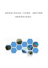 【报告】叙利亚迪士林水电站三号水轮机G3非全相调相抬机事故分析报告