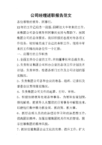 公司经理的述职报告范文