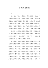 小班实习总结