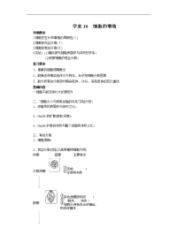 【赢在起点】2014高考生物第一轮复习学案 第16讲： 细胞的增殖