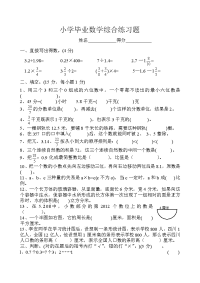 小学毕业数学综合练习题