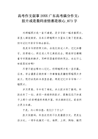 高考作文叙事20XX广东高考满分作文：胶片或是数码亲情都是核心873字.docx