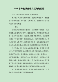 2019小升初满分作文沉甸甸的爱.docx