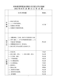 每月工作计划表