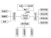 高中生物必修三复习重点课件