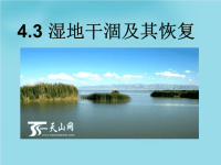 高中高中地理4.3湿地干涸及其恢复课件新人教版选修6