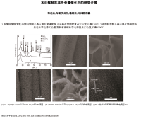 水电解制氢非贵金属催化剂研究进展.ppt