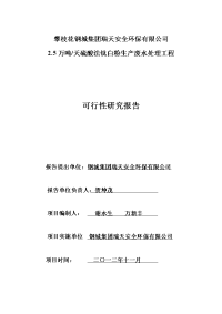 2.5万吨天硫酸法钛白粉生产废水处理工程可行性报告