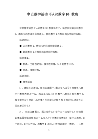 中班数学活动《认识数字9》教案