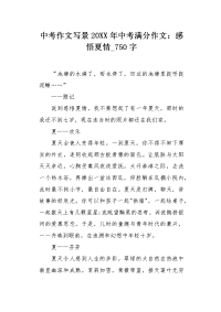 中考作文写景20XX年中考满分作文：感悟夏情750字.docx