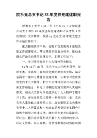 院系党总支书记某年度抓党建述职报告