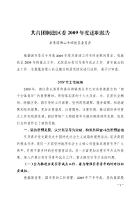 共青团顺德区委2009述职报告