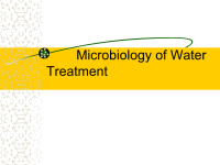 水处理微生物学