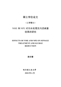 NME和NPE对污水处理及污泥减量效果的研究