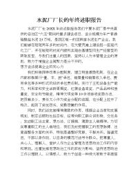 水泥厂厂长的年终述职报告.doc