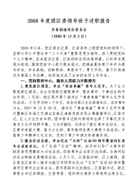 2008年度团区委领导班子述职报告