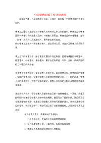 公司销售总监工作计划表格