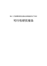 tdi工艺废渣利用及废水处理清洁生产项目可行性研究报告