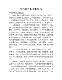 学校副校长述职报告.doc