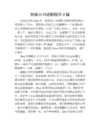 担保公司述职报告3篇.doc