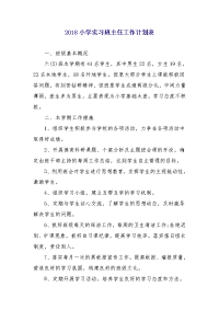 2018小学实习班主任工作计划表