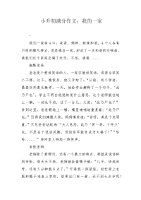小升初满分作文：我的一家.docx