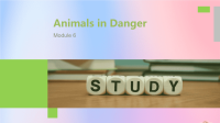 高中英语Module6AnimalsindangerPeriodFiveWriting—Writingadescriptionofananimal课件x