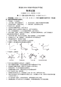 2014青岛中考(初中学业水平考试)物理试题(word)