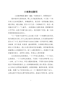 小班教师随笔