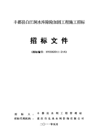 丰都县白江洞水库除险加固工程招标文件(524改稿)