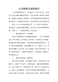 公司销售员述职报告