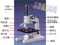 最新初中生物中考专题(图)复习精品课件