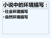 2013年中考语文复习课件18套2013年中考语文专题复习课件 小说