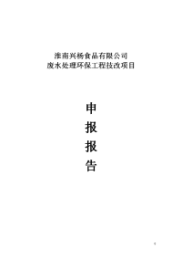 淮南兴杨食品有限公司废水处理环保工程 (1)