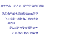 高考冲刺--2011高考迎考讲座