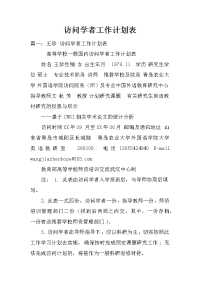 访问学者工作计划表