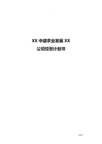公司运营实施计划书模板-企业运行计划