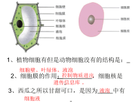 《初中生物课本》PPT课件