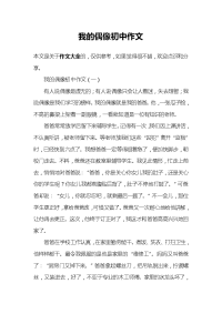 我的偶像初中作文