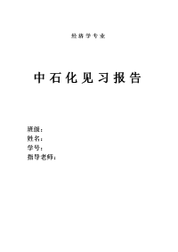 经济学见习报告