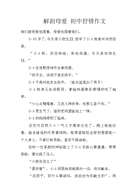 解剖母爱 初中抒情作文