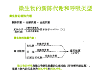 水处理生物学第六章-微生物代谢