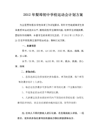 学校运动会工作计划方案